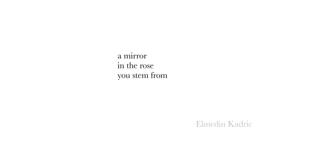 a-mirror-Kadric.jpg